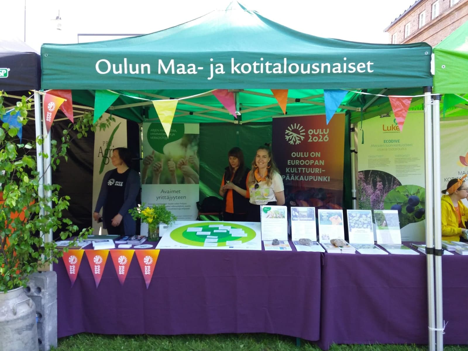 Kuva: Villiyrttikarkeloissa Hupisaarilla 2022.